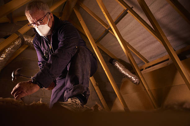 Best Types of Insulation in Union Grove, WI