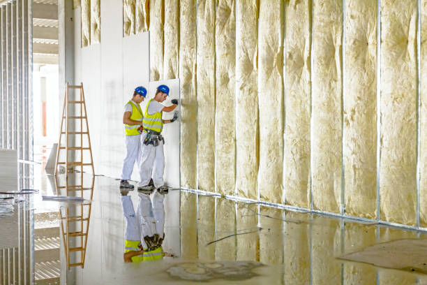 Best Insulation Installation Services in Union Grove, WI